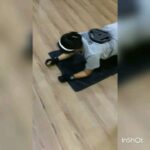 Swathishta Krishnan Instagram – Don’t quit 
Ur already Hurt 
Ur already in pain 
Get a reward of it .
#80kgslegspress #soon2hit100 
#COREwithweights #5kgsplate #6kgslegweight 💪💪💪
