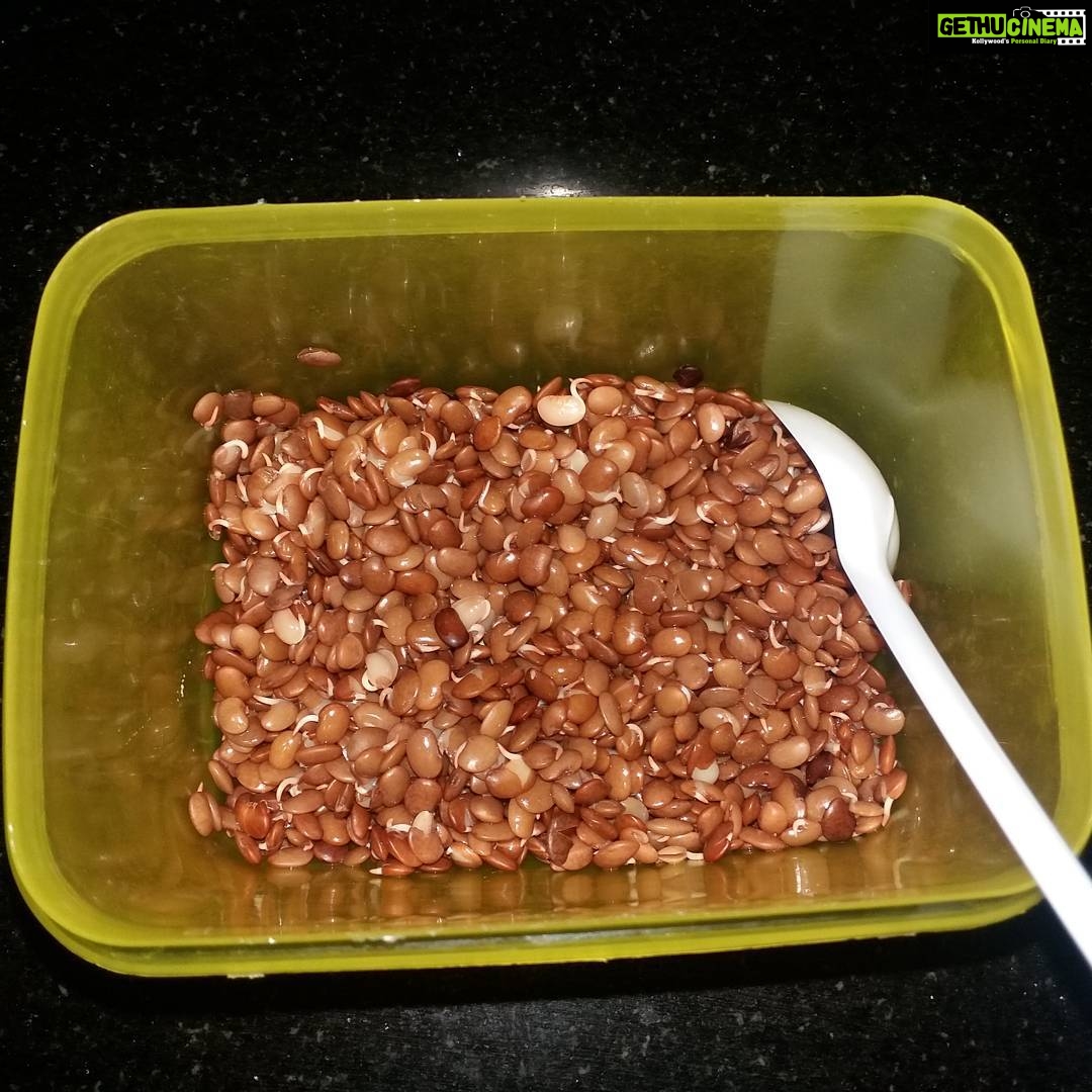 Swathishta Krishnan Instagram - Best food to burn all ur unwanted FAT out derrrrr. .. try it regularly . Can even top some veggies ☺ #boiledhorsegram #eveninsnack #bestonetomunch #dietfood #naturalway2detox #stayfit #stayhealthy
