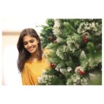 Swathishta Krishnan Instagram – I wish we could put up some of the Christmas spirit in jars and open a jar of it every month ❤️❤️ Get ur Christmas trees from @santastores.in 
Link in bio ❤️
PC @vicky___075photography .
.
.
#halloween #december #photography #homedecor #christmasspirit #natal #fashion #christmasparty #festive #follow #smallbusiness #christmascountdown #weihnachten #cute #picoftheday #newyear #baby #etsyshop #christmaseve #diy #christmasmagic #snowman #christmasmood #advent #christmasornaments #decor #shopsmall #bhfyp #design SantaStores.in