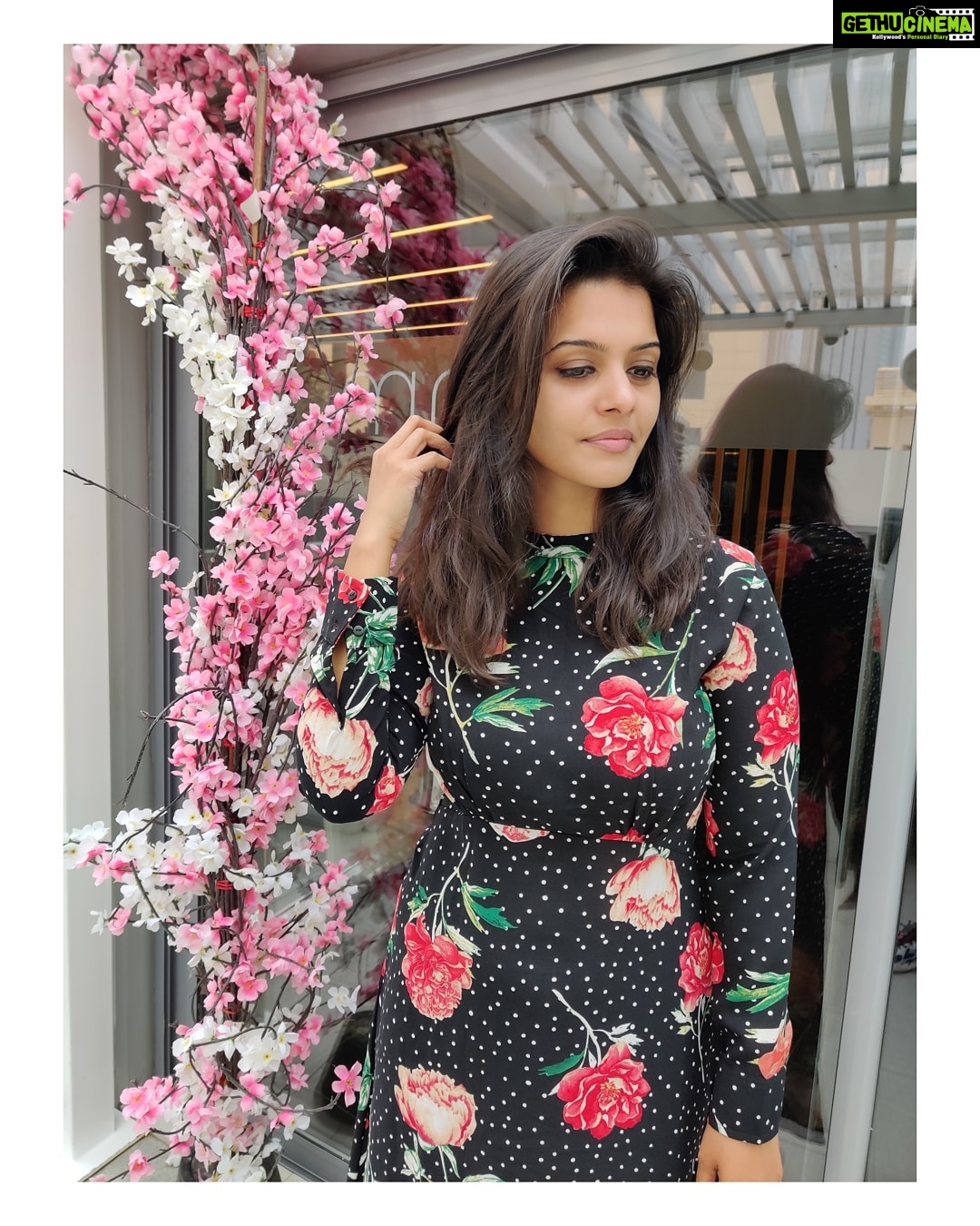 Swathishta Krishnan Instagram - BLOOM WHERE YOU ARE PLANTED 🌹 . . . ....#behindwoods #behindwoodsgoldmedals #tamilactors #indiaglitztelugu #malayalamcinemas #malayalammoviesongs #mollywood #telugucinema #tamil #kollywoodmovie #jewellery #gowns #bluegown #tiktokgirls #tamilheroines #behindwoods #behindwoodsgoldmedals#malayalamsongs #malayalamcinema #malayalamsongs #malayalam #malayalamheroines #malayalammonday #kollywoodqueen #behindwoods #indiaglitzmalayalam #asianet W hotel doha, Qatar