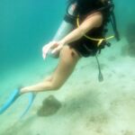 Tanya Hope Instagram – Went to go see them ‘plenty fish’ yall keep talkin about @nemodivingfujairah #throwback