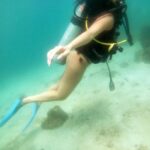 Tanya Hope Instagram - Went to go see them ‘plenty fish’ yall keep talkin about @nemodivingfujairah #throwback