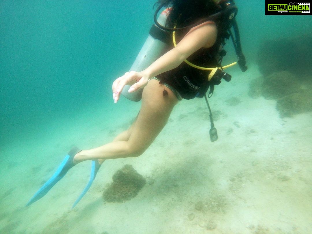 Tanya Hope Instagram - Went to go see them ‘plenty fish’ yall keep talkin about @nemodivingfujairah #throwback