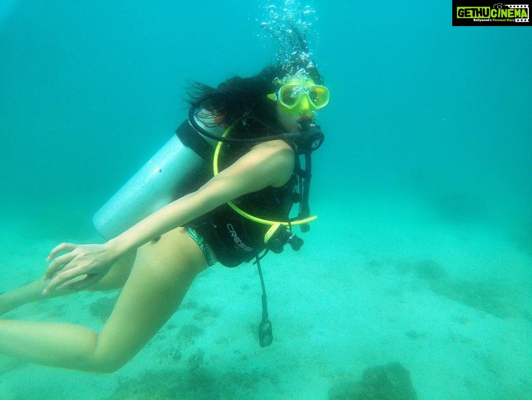 Tanya Hope Instagram - Went to go see them ‘plenty fish’ yall keep talkin about @nemodivingfujairah #throwback