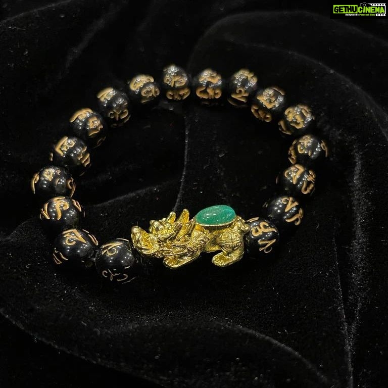 Vanitha Vijayakumar Instagram - Good luck pixiu bracelets📿 Pi Xiu is a symbol to protect lucky, wealth, good fortune and happiness will company with you. It is believed to bring fortune, good tidings and protection to his owner. The pixiu bracelet Conducts good luck and fortune🤩💁🏻♀️Dm for price & details📩#vanithavijaykumarstyling #outfitoftheday #outfit #outfits #women #womensfashion #girl #girls #style #goodluck #jewellery #fashion #auspiciousjewellery #picoftheday #pictureoftheday #fengushui #accessories #chinese #symbols #chinesesymbols #makeover #onlineshopping #onlineshop Khader Nawaz Khan Road