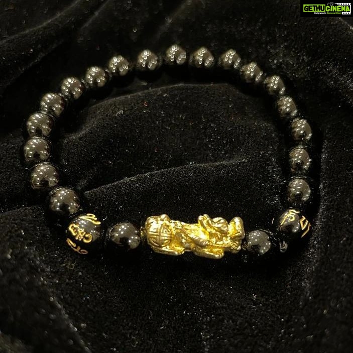 Vanitha Vijayakumar Instagram - Good luck pixiu bracelets📿 Pi Xiu is a symbol to protect lucky, wealth, good fortune and happiness will company with you. It is believed to bring fortune, good tidings and protection to his owner. The pixiu bracelet Conducts good luck and fortune🤩💁🏻♀️Dm for price & details📩#vanithavijaykumarstyling #outfitoftheday #outfit #outfits #women #womensfashion #girl #girls #style #goodluck #jewellery #fashion #auspiciousjewellery #picoftheday #pictureoftheday #fengushui #accessories #chinese #symbols #chinesesymbols #makeover #onlineshopping #onlineshop Khader Nawaz Khan Road