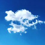Vignesh Shivan Instagram - Flying Rabbit 🐇 !? Los Angeles, California