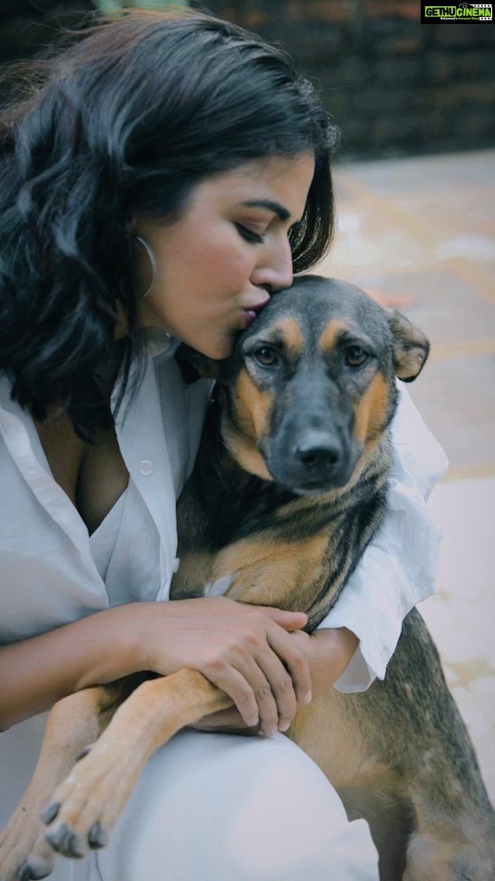 Wamiqa Gabbi Instagram - WARNING: My crush is very cute and might stop your heart! 😳🤍 #dogs #pets #petlove