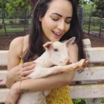 Aanchal Munjal Instagram - I think 5th & 6th photos are my fav .. 🥹 📍@foresthillstala Forest Hills at Tala