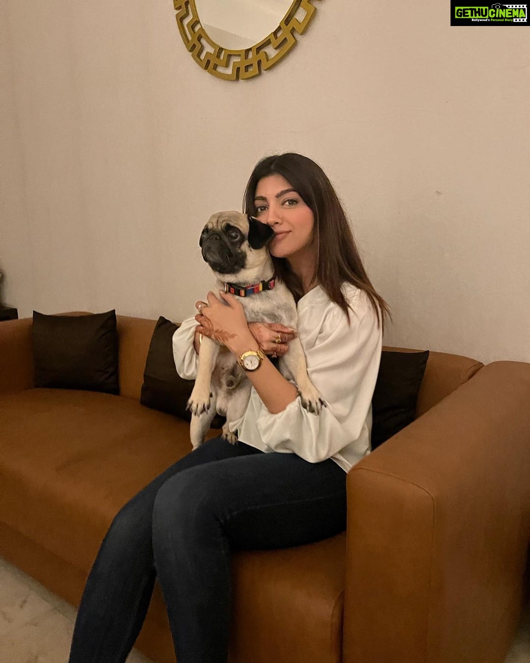 Akanksha Puri Instagram - With the heartthrob…star of our show .. Papa @mikasingh ki jaan …Tyson ❤️ . . #tyson #pug #puglove #pets #swayamvarmikadivohti #love #mikasingh #akankshapuri #mikasha #mikadivohti #photooftheday #goodvibes #life #lifestyle #smile #king #queen #beingme #akankshapuri #❤️