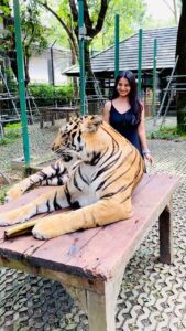 Ananya Nagalla Instagram - Me and the Tigerrrr

Just to clear it off , these tigers were not sedated ,they were taken care since they’re cubs, so they are habituated around the people.

You can also check in their website 

#ananyanagalla