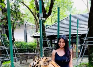 Ananya Nagalla Instagram - Me and the Tigerrrr Just to clear it off , these tigers were not sedated ,they were taken care since they’re cubs, so they are habituated around the people. You can also check in their website #ananyanagalla Tiger Park Thailand
