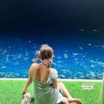 Anushka Sen Instagram - Does it ever drive you crazy, just how fast the night changes 🌠 Maldives