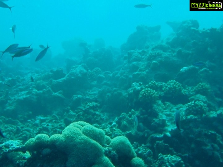 Anushka Sen Instagram - snorkelling π€Ώππ#maldives @siyamworld Maldives