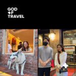 Anushka Sen Instagram - Dear Anushkians,🧡 today the first 'One Asia Diary' in Korea will be revealed on GOD OF TRAVEL YouTube 6PM (Korean Time) subscribe, alarm setting and like 🇮🇳🧡🇰🇷 인도 스타 아누쉬카 센을 궁금해하는 모든이들에게🧡 오늘 저녁 6시에 GOD OF TRAVEL 유튜브에서 '원 아시아 다이어리' 오픈합니다. 구독자들에게만 선공개를 하니, 구독과 좋아요 알람 해주세요 🇮🇳🧡🇰🇷 #godoftravel #oneasia #anushkasen #anushkians #korea