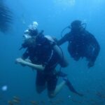 Anveshi Jain Instagram – And you thought that It was hilarious only when I was thrown into waters .. I thought I am giving some dope shots underwater , only if other shots were as  nice as this first one. 😂😂😂🙈