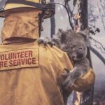 Anveshi Jain Instagram - There are no words to describe the pain.. and I can’t stop crying ! this is a crisis worthy of international action . It is our turn to show every bit of compassion we have to raise the awareness and help wherever we can . These bushfires are worse than the amazon , they are worse than Notre Dame that happened last year that raised $650 million in 24hrs..Let’s give Australia the same attention & support we give to other events . You can donate here : Save the animals ; @wireswildliferescue Rural fire services: @nswrfs Aust fire service @redcrossau #australia #save #animals#saveaustram Ahmedabad, India