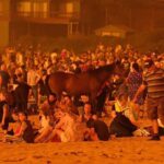 Anveshi Jain Instagram - There are no words to describe the pain.. and I can’t stop crying ! this is a crisis worthy of international action . It is our turn to show every bit of compassion we have to raise the awareness and help wherever we can . These bushfires are worse than the amazon , they are worse than Notre Dame that happened last year that raised $650 million in 24hrs..Let’s give Australia the same attention & support we give to other events . You can donate here : Save the animals ; @wireswildliferescue Rural fire services: @nswrfs Aust fire service @redcrossau #australia #save #animals#saveaustram Ahmedabad, India
