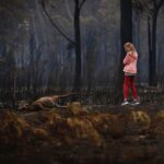 Anveshi Jain Instagram - There are no words to describe the pain.. and I can’t stop crying ! this is a crisis worthy of international action . It is our turn to show every bit of compassion we have to raise the awareness and help wherever we can . These bushfires are worse than the amazon , they are worse than Notre Dame that happened last year that raised $650 million in 24hrs..Let’s give Australia the same attention & support we give to other events . You can donate here : Save the animals ; @wireswildliferescue Rural fire services: @nswrfs Aust fire service @redcrossau #australia #save #animals#saveaustram Ahmedabad, India