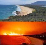 Anveshi Jain Instagram - There are no words to describe the pain.. and I can’t stop crying ! this is a crisis worthy of international action . It is our turn to show every bit of compassion we have to raise the awareness and help wherever we can . These bushfires are worse than the amazon , they are worse than Notre Dame that happened last year that raised $650 million in 24hrs..Let’s give Australia the same attention & support we give to other events . You can donate here : Save the animals ; @wireswildliferescue Rural fire services: @nswrfs Aust fire service @redcrossau #australia #save #animals#saveaustram Ahmedabad, India