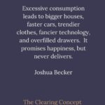 Anveshi Jain Instagram - @theclearingconcept Aren’t you brilliant ! Success is made of so many elements ,declutter and minimalism is one of them . I am getting to understand why my mom stops me from buying things that i don’t need . Tell me which quote do u relate to ? I liked the 1st one . Mumbai, Maharashtra