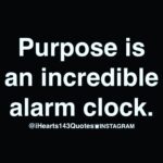 Anveshi Jain Instagram - Isn’t it!