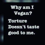 Anveshi Jain Instagram – #govegan #saynotomeat #vegetarianfood #liveandletlive