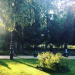 Anveshi Jain Instagram - So amazing this side of the world is ❤️ Margaret Island