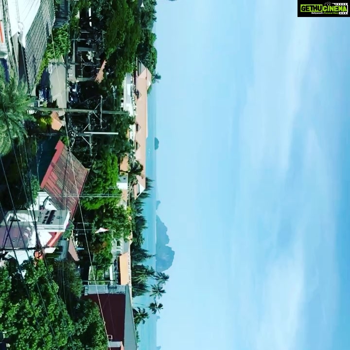 Anveshi Jain Instagram - View from the room be like💜@wakeup you just so cool#aonang #wildlife #thingsindoinyour20s#goodlifedecisions #goodmorningpost #krabiisland Wake Up Ao Nang