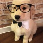 Anveshi Jain Instagram – Gentleman!