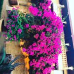 Anveshi Jain Instagram -