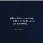 Anveshi Jain Instagram -