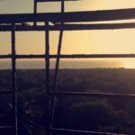 Anveshi Jain Instagram - Evenings are so rare at home these days # realization