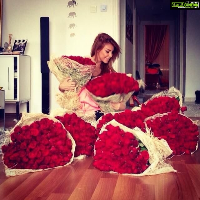 Anveshi Jain Instagram - #Lovers be like#red#rosesgiveaway#Zeith of happiness#nothing like it#missingit
