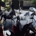 Anveshi Jain Instagram - So wanna have this kinda art in my dream castle#loveart#horses#indicatingspeed#vastu#dreamhousething#