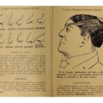 Anveshi Jain Instagram - Phrenology — the pseudoscientific field of study premised on the theory that a person’s intellect, personality and character can be determined by the shape of his or her skull. Published by Chicago phrenologist L.A. Vaught, who confidently claims that the book lays out the 42 known elements of human nature (including Acquisitiveness, Benevolence, Amativeness and Weight) and how they're made manifest in people’s heads, noses, ears and chins. While the author expounds with conviction on “cruel eyes,” “selfish ears” and “gross, sensual chins,” the illustrator provides diagrams and pictures which have cemented the book as a classic in the genre of unintentional humor.I find it quite intriguing hence sharing with you. #goodreads #readpeople #phrenology #lavaught #humanbehaviour