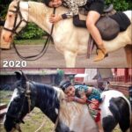 Ashnoor Kaur Instagram - 10 years apart, but my love for animals remains constant❤️