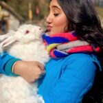 Ashnoor Kaur Instagram - Meet my new friend in Manali... This cutie white fur ball🥰♥️ #ManaliDiaries #AnimalLover #Rabbit #WinterFashion #bts #MyHappyPlace Manali, Himachal Pradesh