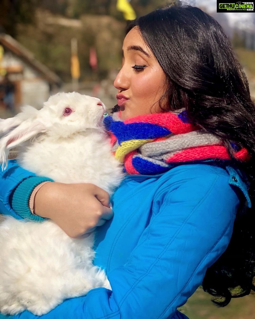 Ashnoor Kaur Instagram - Meet my new friend in Manali... This cutie white fur ballš„°ā„ļø #ManaliDiaries #AnimalLover #Rabbit #WinterFashion #bts #MyHappyPlace Manali, Himachal Pradesh