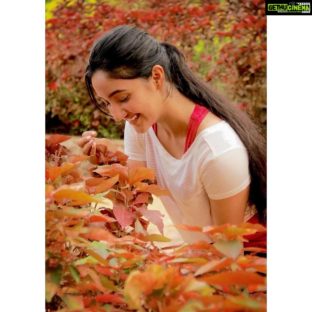 Ashnoor Kaur Instagram - I find peace amongst nature🍂 #truly #NatureLover #AmongstNature #Live #Breathe #LoveYourself