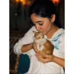 Ashnoor Kaur Instagram - I am an #AnimalLoverForever Are you? . . Found this cute little kitten on my set today, alone, frightened and shivering! She went on some cables, and I took her in my arms to prevent any sort of electric shock, and she clung onto me... I kept stocking her, gave her milk and some warmth, and then finally she was back to normal, purring me! We also had lunch together in my room :) What I want to say is why not make this world a better place, not only for us humans, but all the creatures, innocent and mute❤️ Somewhere on the Earth