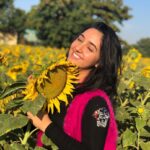 Ashnoor Kaur Instagram - May I grow, so tall and bright, so free and wild, so brave and vibrant, that when you see me standing, you think I’m a sunflower🌻 #NandedTrip #sunflowers #ashnoorkaur #sunflowerfield #MorePicturesComingUp Among The Flowers