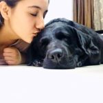 Ashnoor Kaur Instagram - What good did we humans do to deserve dogs?😍❤️ #Dogs #MyLove #AnimalLover #LoveDogs #ashnoorkaur How many of you like animals? Dog Lovers by GreaterGood