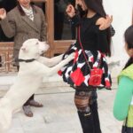 Ashnoor Kaur Instagram -