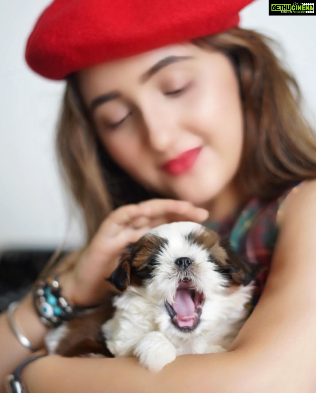 Ashnoor Kaur Instagram - I’m so fur-tunate to have you, because you made me laugh during the times I thought I couldn’t even smile… Thanks for the paw-some memories 🐾🐶 Iloveyou @woof.ziggy #InternationalPetsDay