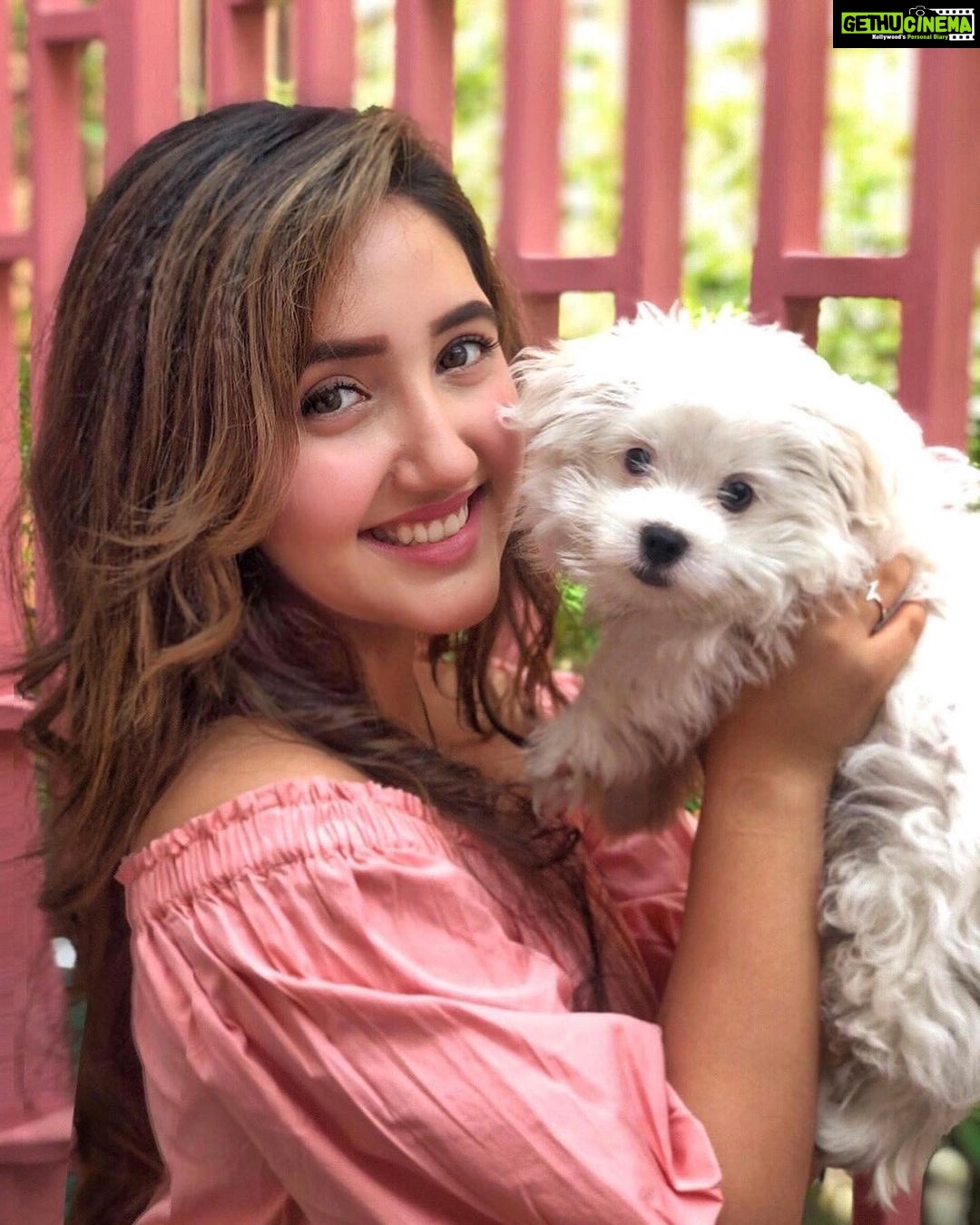 Ashnoor Kaur Instagram - Thanks fur the memories🐶🐾 . (Making @woof.ziggy a little jealous today🤪)