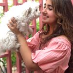 Ashnoor Kaur Instagram - Thanks fur the memories🐶🐾 . (Making @woof.ziggy a little jealous today🤪)