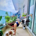 Ashnoor Kaur Instagram – Morning with some #MondayMotivation ✨

Personally, I feel this is more of technique than flexibility… Was fun doing this!!!
#IgReels #FlexibilityChallenge #TrendyReels #Fitness #ReelItFeelIt #Reels