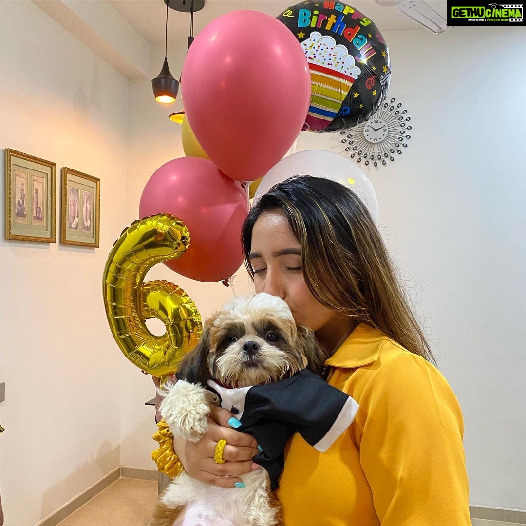 Ashnoor Kaur Instagram - My baby’s half birthday celebrations♥️ @woof.ziggy Time flies, and it’s sucha surreal experience seeing you grow up🥺 Thanks to all his and my fiends who came and made the day so memorable!!! I love you Zigguuu✨ . . Dog cake by @puplords_barkery
