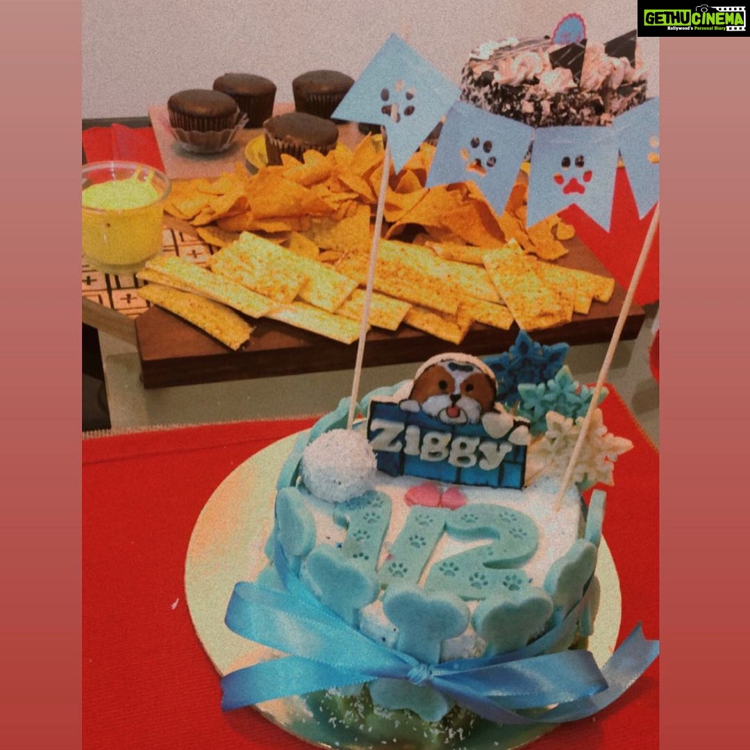 Ashnoor Kaur Instagram - My baby’s half birthday celebrations♥️ @woof.ziggy Time flies, and it’s sucha surreal experience seeing you grow up🥺 Thanks to all his and my fiends who came and made the day so memorable!!! I love you Zigguuu✨ . . Dog cake by @puplords_barkery